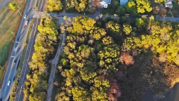 Utsikt från höjden av road gula träd och hus — Stockvideo