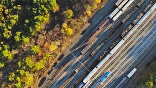 Magisk färgstark höst längs järnvägen wiht last train platform — Stockvideo