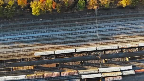 Chemin de fer le long de l'automne coloré, plate-forme de fret ferroviaire dans les feuilles saison d'automne . — Video