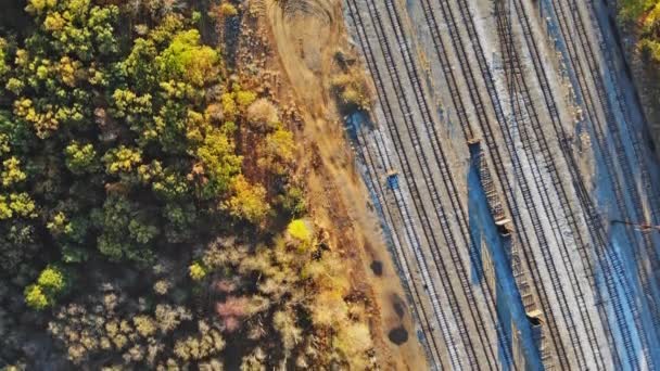 Voile de drone aérien d'arbres colorés et de train sur le chemin de fer incroyable oeil d'oiseaux d'automne — Video