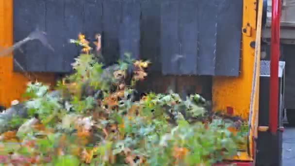 Träflishuggargrenar skär en träflishugg i en bärbar maskin som används för att minska träd — Stockvideo
