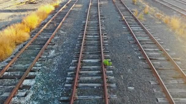 Järnväg med ledande järnvägslinjer — Stockvideo