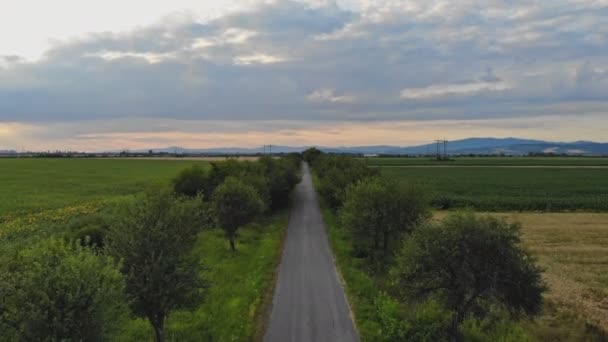 A mezők közötti, helyi jelentőségű aszfaltos út természeti tájképe. — Stock videók