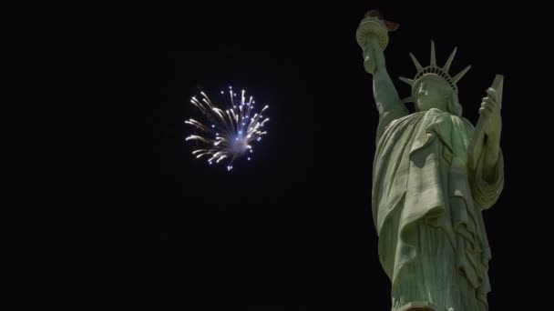 Krásné barevné rekreační ohňostroje na Americké soše svobody explodují ve slavném — Stock video