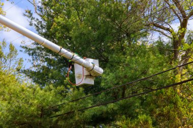 İlkbaharda ağaç bakımlı mevsimlik budama ağaçları ve hidrolik rampa çalışma platformu