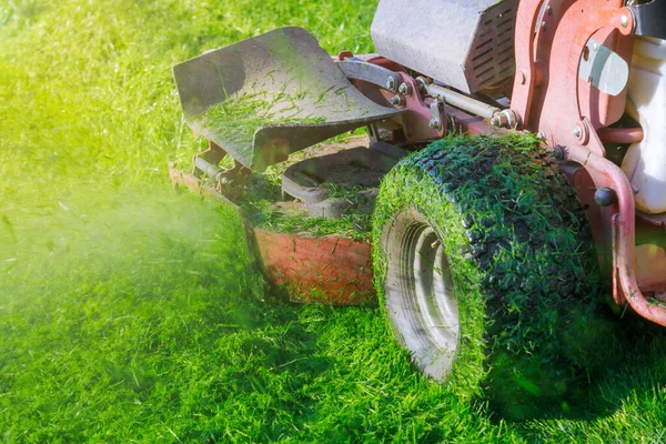 Närbild Man Arbetare Klippa Gräs Sommaren Med Professionell Trädgårdsmästare Klippning — Stockfoto