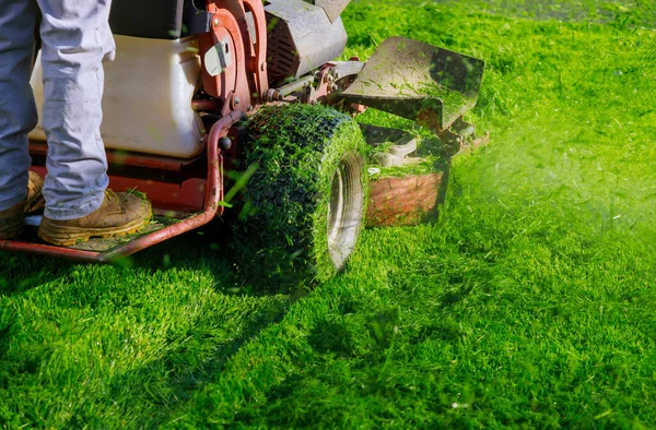 芝生の園芸活動を切断し 芝生は日当たりの良い庭で芝生の芝刈り機を駆動 — ストック写真