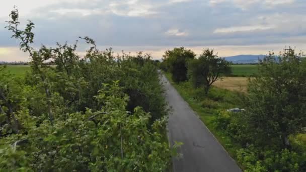 Landskap vackert av asfalt lokala landsväg betydelse passerar omgiven av fält — Stockvideo