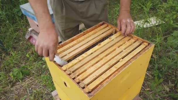 Biodlaren arbetar med att ta fram ramar med honungskammar för kontroll av fyllning med honung — Stockvideo