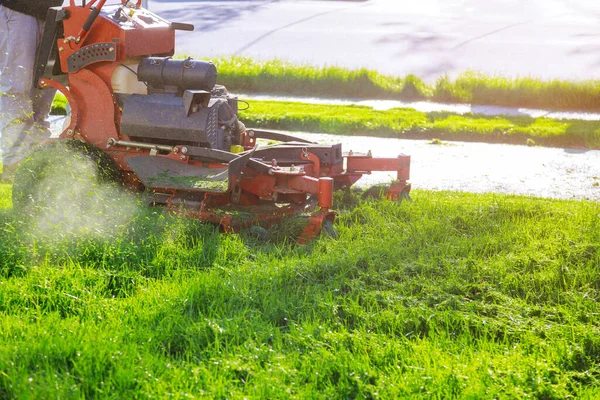 Pekerja Manusia Memotong Rumput Musim Panas Dengan Tukang Kebun Profesional — Stok Foto