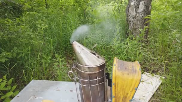 Bienen Raucher Imkerei Werkzeug funktioniert — Stockvideo