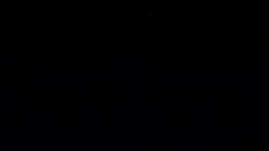 Güzel renkli bayram havai fişekleri 4 Temmuz gecesi