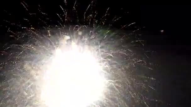 Feuerwerk erleuchtet den Himmel Neujahrsfeier Independence Day USA Feier Jahrestag farbige Funken große Anzeige Veranstaltung 4. Juli — Stockvideo