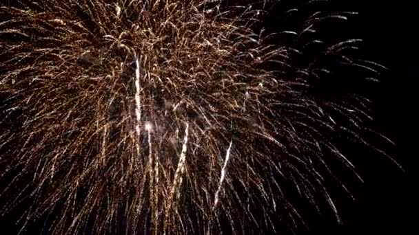 独立日的夜晚，令人惊奇的节日烟火 — 图库视频影像