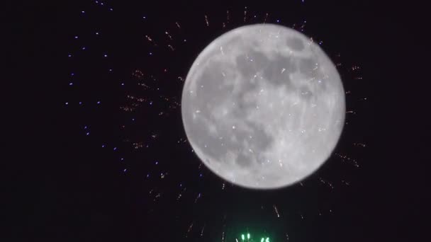 Wielka pełnia księżyca w ciemnym niebie kolorowe fajerwerki Dzień Niepodległości — Wideo stockowe