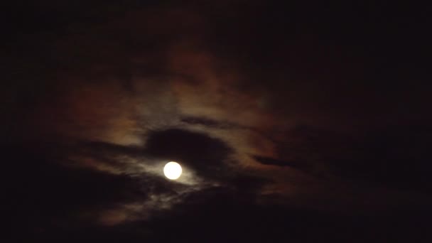 Fuegos artificiales nocturnos diferentes colores en una nube de luna llena visto cielo y nubes US Independence Day — Vídeos de Stock