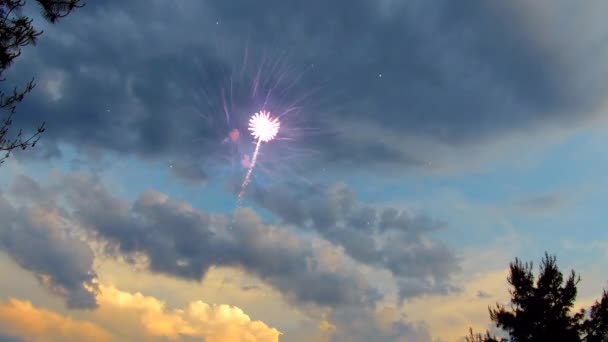 День Незалежності - прекрасний захід, хмарне небо від святкування святкових барвистих феєрверків. — стокове відео