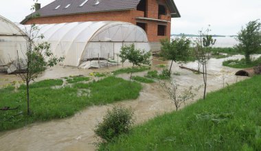 Şiddetli yağmurdan sonra tarlaları çiftliklerle doldurmuş.