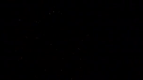 Барвисті феєрверки над темним небом, показані під час святкування Дня незалежності 4 липня. — стокове відео