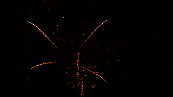 Красивые красочные праздничные фейерверки в вечернем небе с шоу День независимости 4 июля — стоковое видео