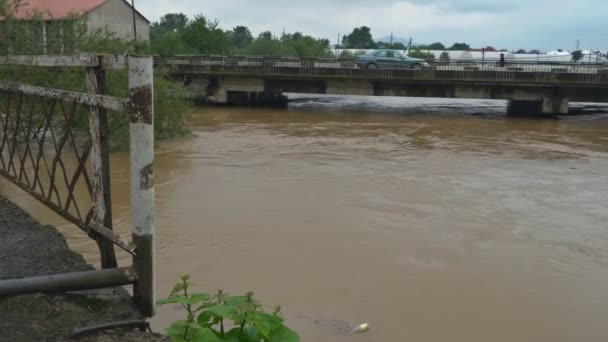 Eau boueuse de la rivière des branches inondées, morceaux de bois accrochés au pont — Video