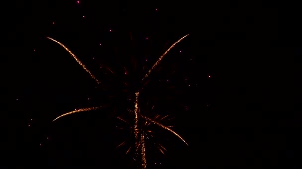 Beautiful colorful holiday fireworks in the evening sky with show Independence Day 4th July — Stock Video