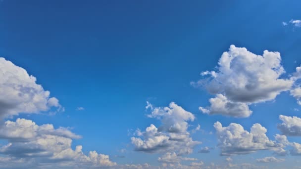 Хорошая погода Белые пушистые облака на голубом небе вид временной промежуток — стоковое видео