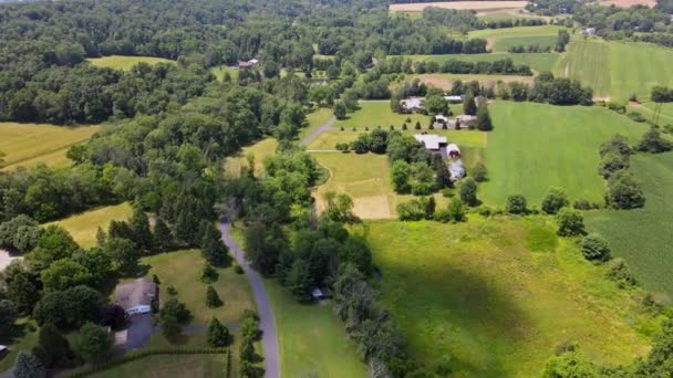Grönt och gult fält från en hög höjd på sommaren på flykt av drönaren över ängarna med skogen Pocono Pennsylvania USA — Stockvideo