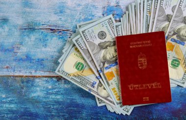 Macar vatandaşlığı pasaportu ve 100 dolarlık banknotlar.