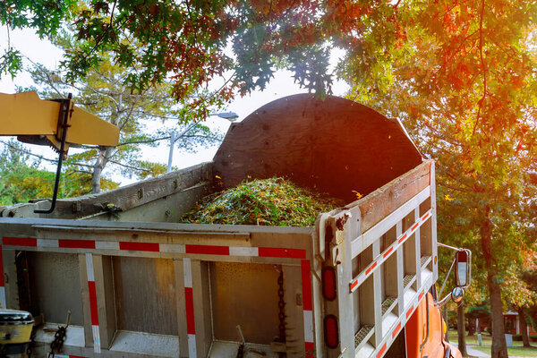 Деревянный дробилка ветки дерева рубить портативную машину, используемую для сокращения древесины в задней части грузовика.