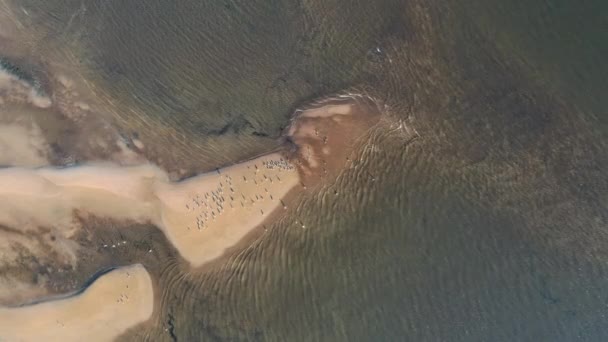 Vågor i den gula sandstranden havskusten, utsikt från höjden — Stockvideo