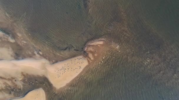Желтый песчаный пляж с волнами на голубом фоне моря, снятый с высоты — стоковое видео