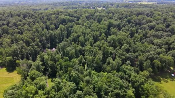 Paisaje Pocono visto en un bosque con casas de montaña, prados en los campos — Vídeos de Stock