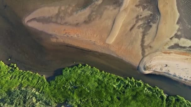 Vågor i den gula sandstranden med vågor på blå havsutsikt tagna från en höjd — Stockvideo