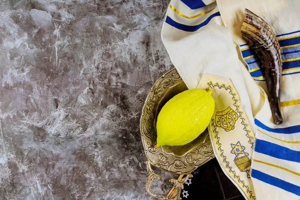 Festa Rituale Ebraica Sukkot Nel Simbolo Religioso Ebraico Etrog Lulav — Foto Stock