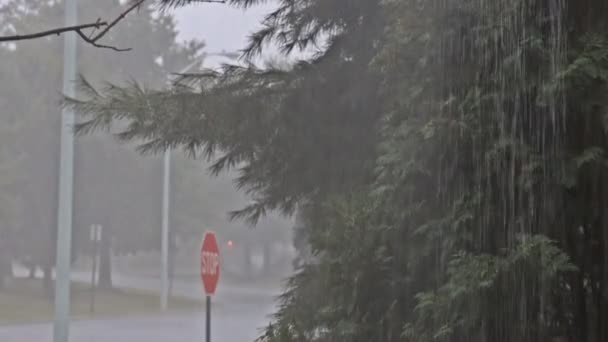 Rua inundada chuva pesada cai uma grande poça com estrada de onda durante o dia de chuva pesada — Vídeo de Stock