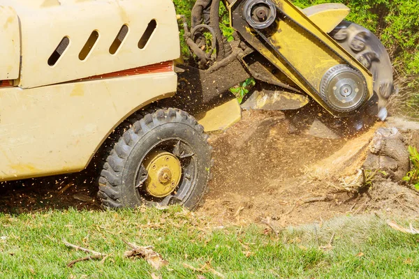 Stump Shredded Removal Grinding Stumps Roots Small Chips — Stock Photo, Image