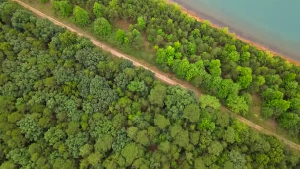 Вид с воздуха на пруд на солнечную летнюю лесную панораму — стоковое видео