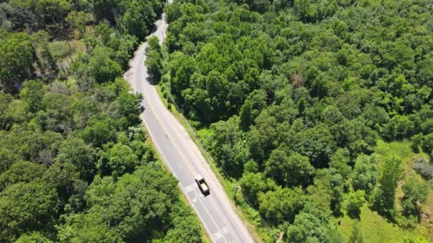 Αεροφωτογραφία του ασφαλτοστρωμένου δρόμου στο δάσος μια όμορφη καλοκαιρινή μέρα — Αρχείο Βίντεο