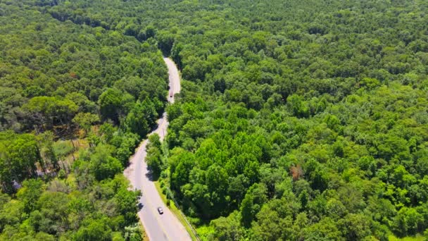 Yeşil ormanın içinden geçen yol, hava manzaralı araba, orman manzaralı yol. — Stok video
