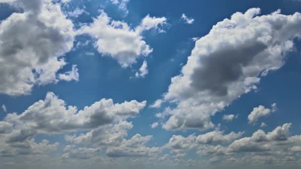 Weiße, flauschige Wolken am blauen Himmel Zeitraffer — Stockvideo