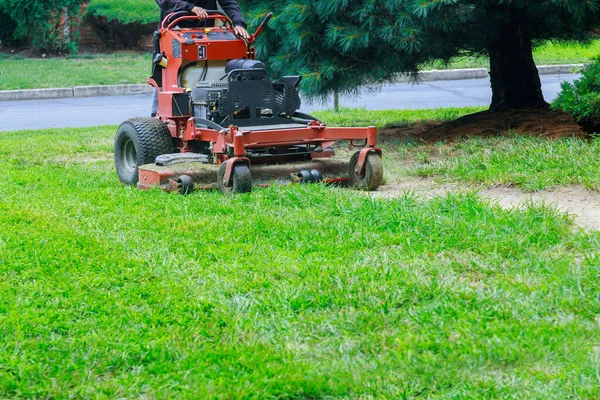 Trädgårdsarbete Gräsklippare Som Klipper Gräsklipparen Solig Trädgård — Stockfoto