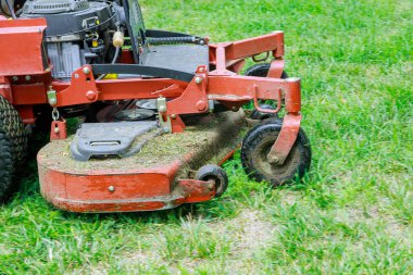 Gardening activity, lawn mower cutting the grass driven lawn mower in sunny garden clipart