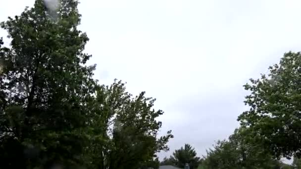 Fák viharban és heves esőben és erős szél fúj. — Stock videók