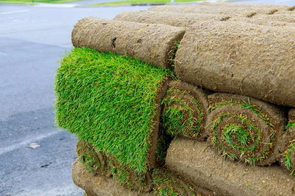 Modern çim ekme teknolojileri palet rulo çimenler üzerinde peyzaj tasarımı yakın,