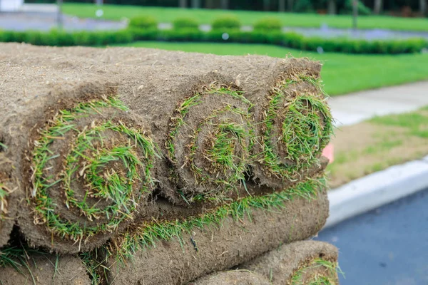 Gardener Installing Natural Grass Turf Installer Beautiful Rolled Sod Lawn — Stock Photo, Image