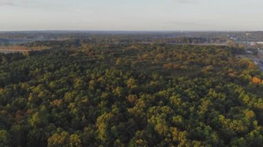 Pennsylvania 'da Poconos' un hava manzaralı yeşil ormanı