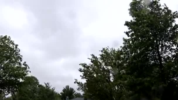 Rossz idő vihar fúj a fák heves esőzés és erős szél. — Stock videók