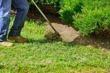 Bir çim biçme makinesi, elinde çim biçme makinesiyle belediye işçisinin yanındaki çimlerde taze, yeşil bir çim biçer..