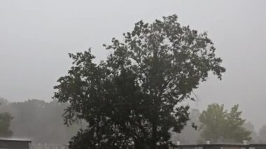 Şiddetli yağış, yazları şehrin çatısından akan yağmur suyu.